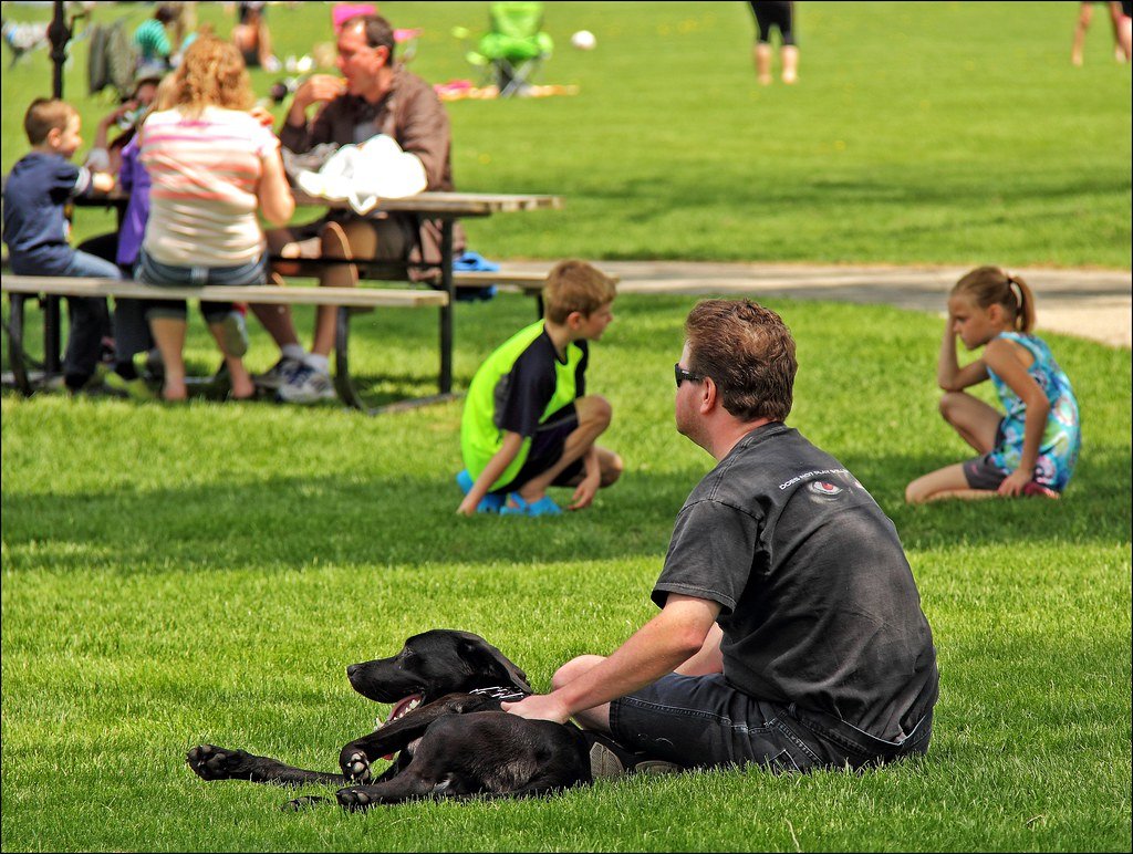 The Social Butterfly Effect of Dog Ownership (image credits: flickr)