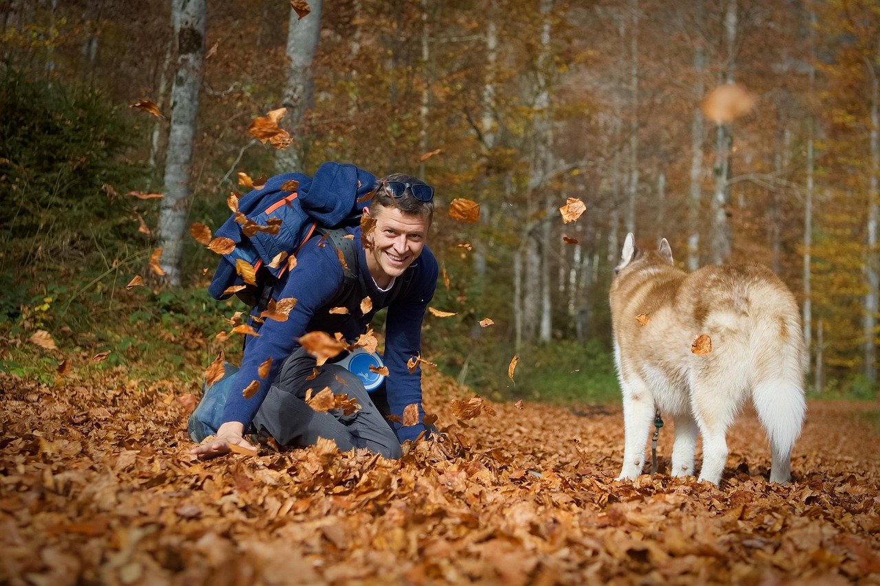 He Treats His Dog as Family—Always (image credits: pixabay)