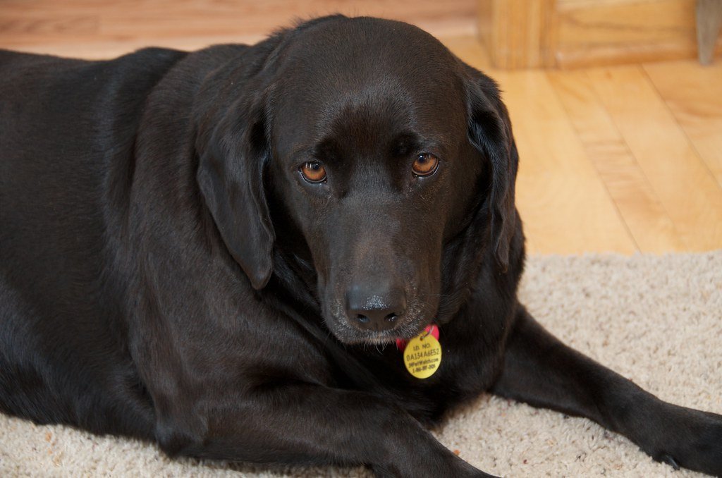 The Professional Mood Reader (image credits: flickr)