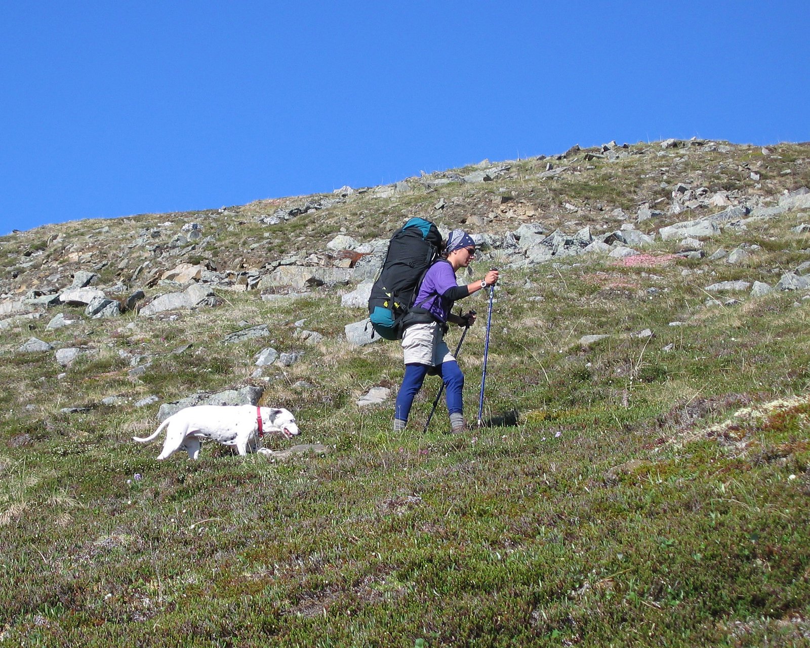 Dog Mountain, Washington (image credits: wikimedia)