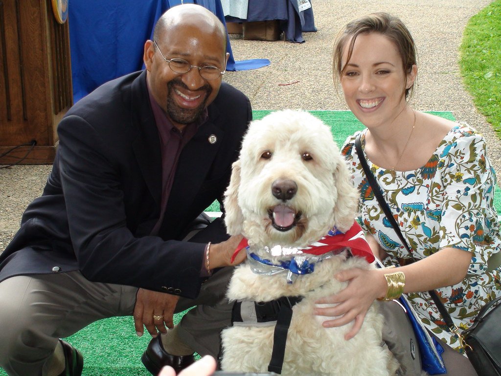 Use Biodegradable Waste Bags (image credits: flickr)