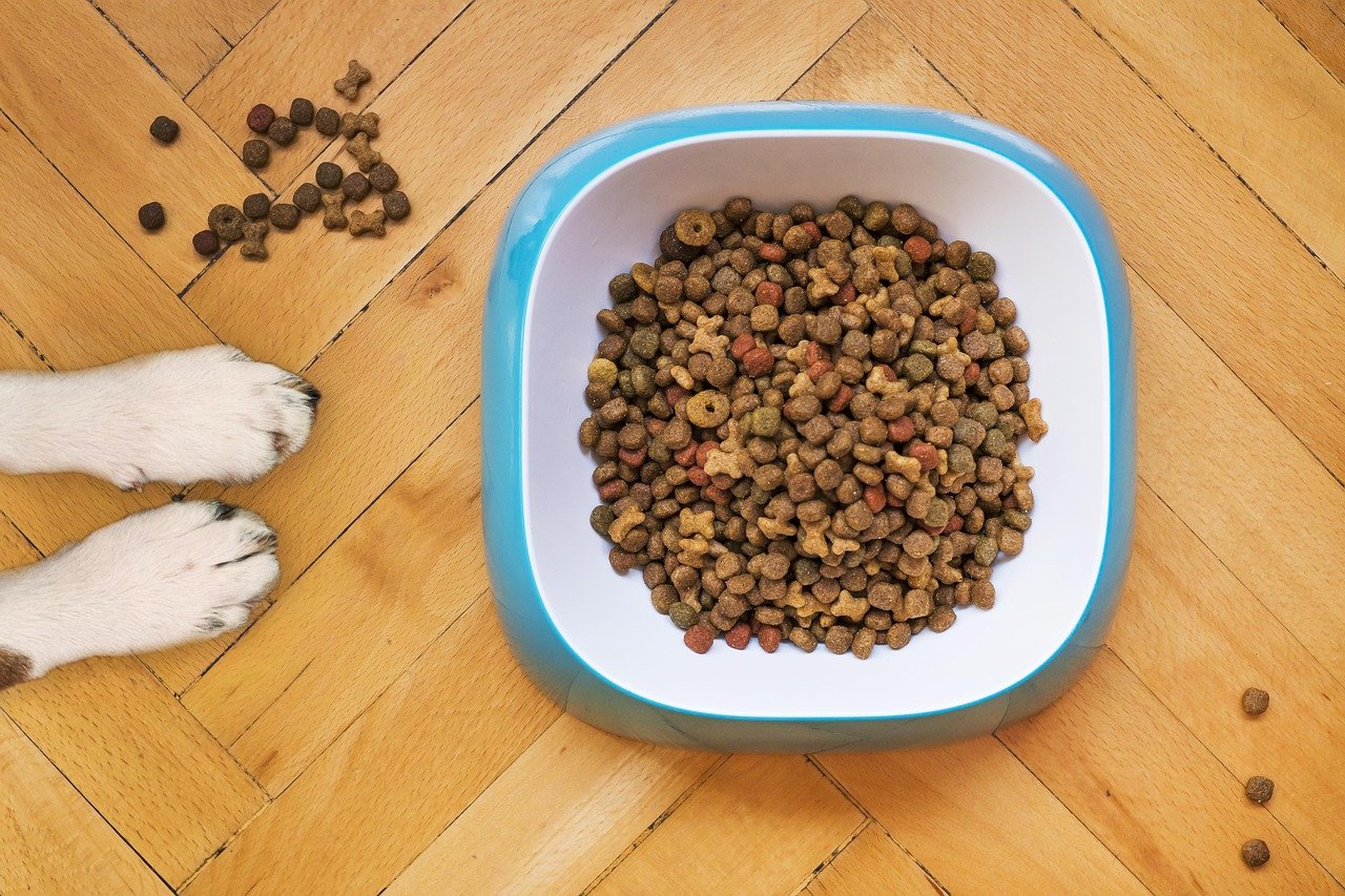 Changes in Appetite (image credits: pixabay)