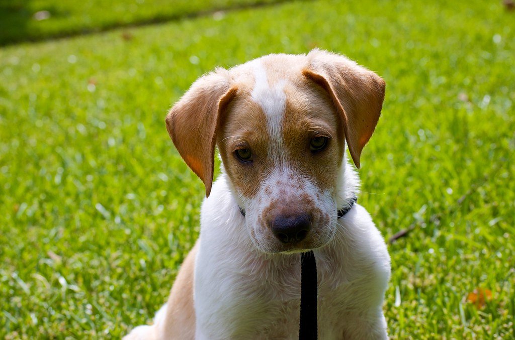 Withdrawal from Family Members (image credits: flickr)