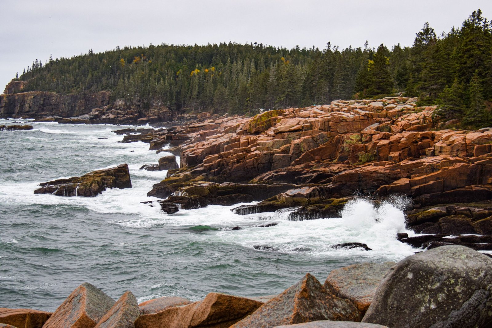 Acadia National Park, Maine - Ocean Path Trail (image credits: wikimedia)