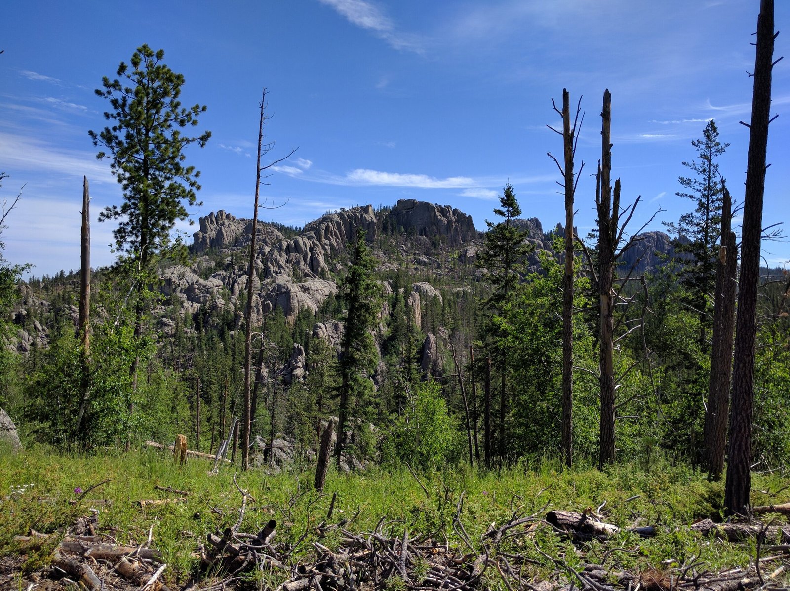 Custer State Park, South Dakota - Black Elk Peak Loop (image credits: wikimedia)