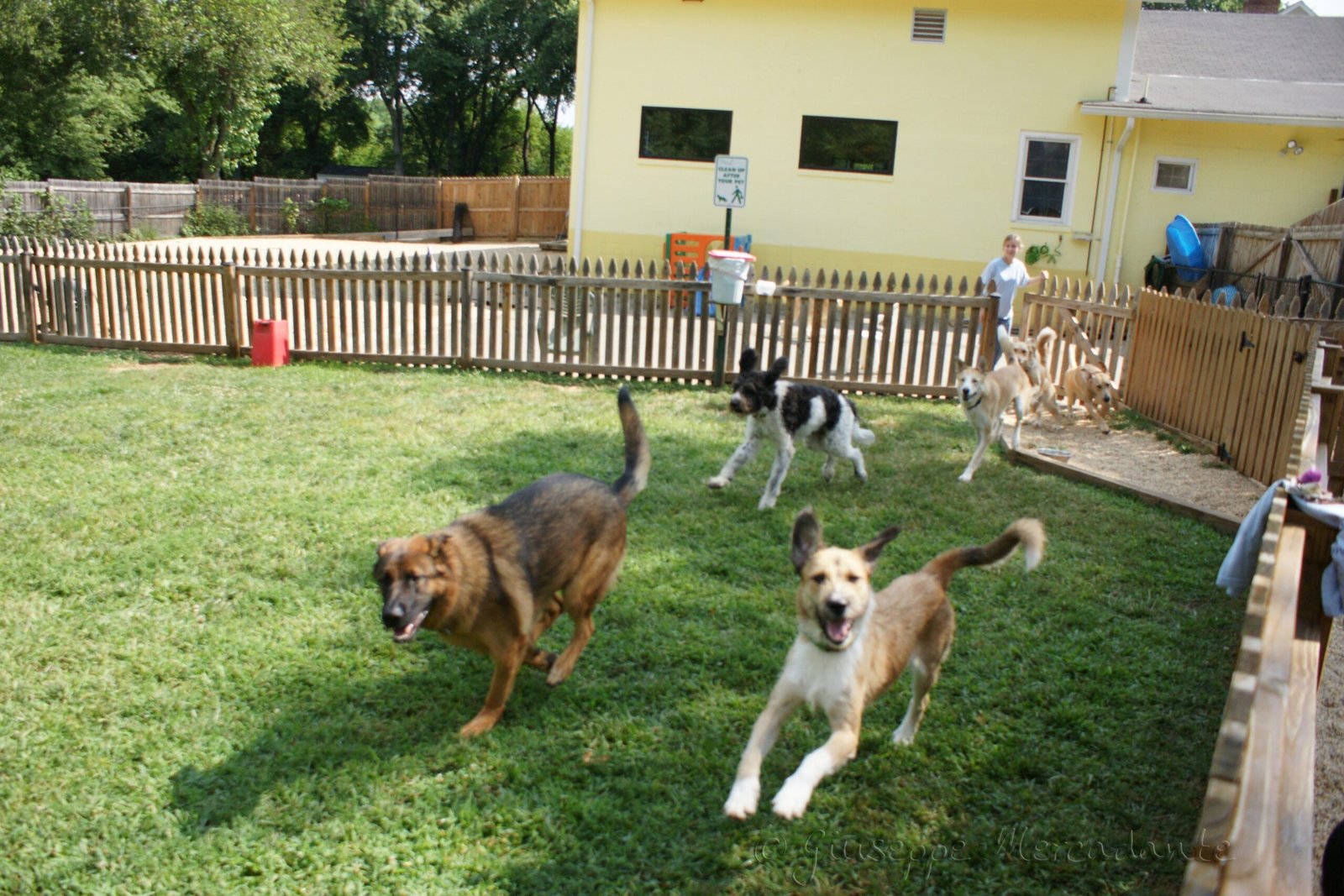 The Hidden Reality Behind Those Cheerful Daycare Photos (image credits: wikimedia)