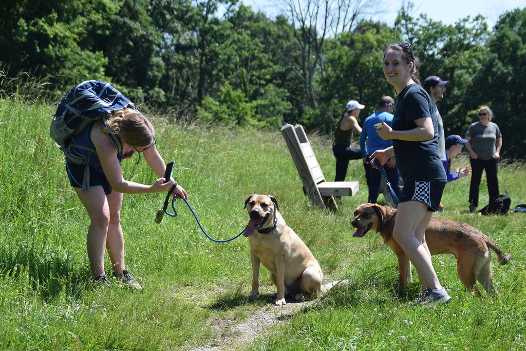 Park Rangers Aren't Kidding About the Six-Foot Rule (image credits: flickr)