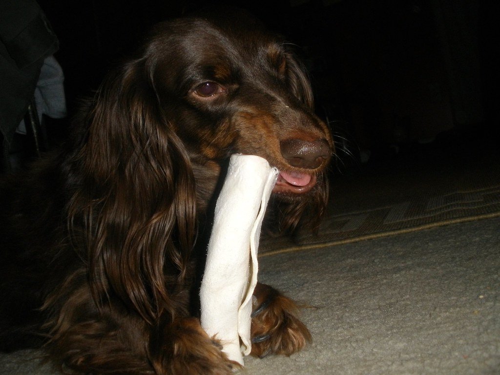 What Is Rawhide, Really? (image credits: flickr)