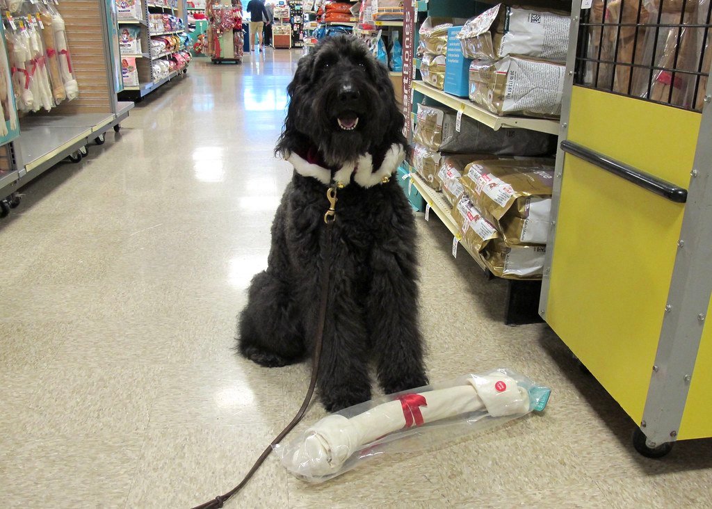 Chemical Concerns: What’s In That Chew? (image credits: flickr)