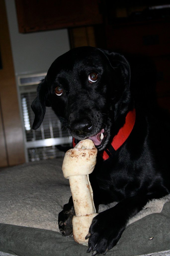 Possible Bacterial Contamination (image credits: flickr)