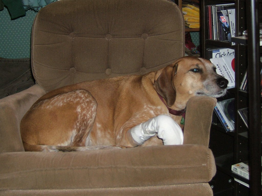 Pain and Injuries Hiding in Plain Sight (image credits: flickr)