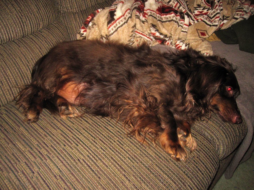 Yeast Infections: The Smelly Clue (image credits: flickr)