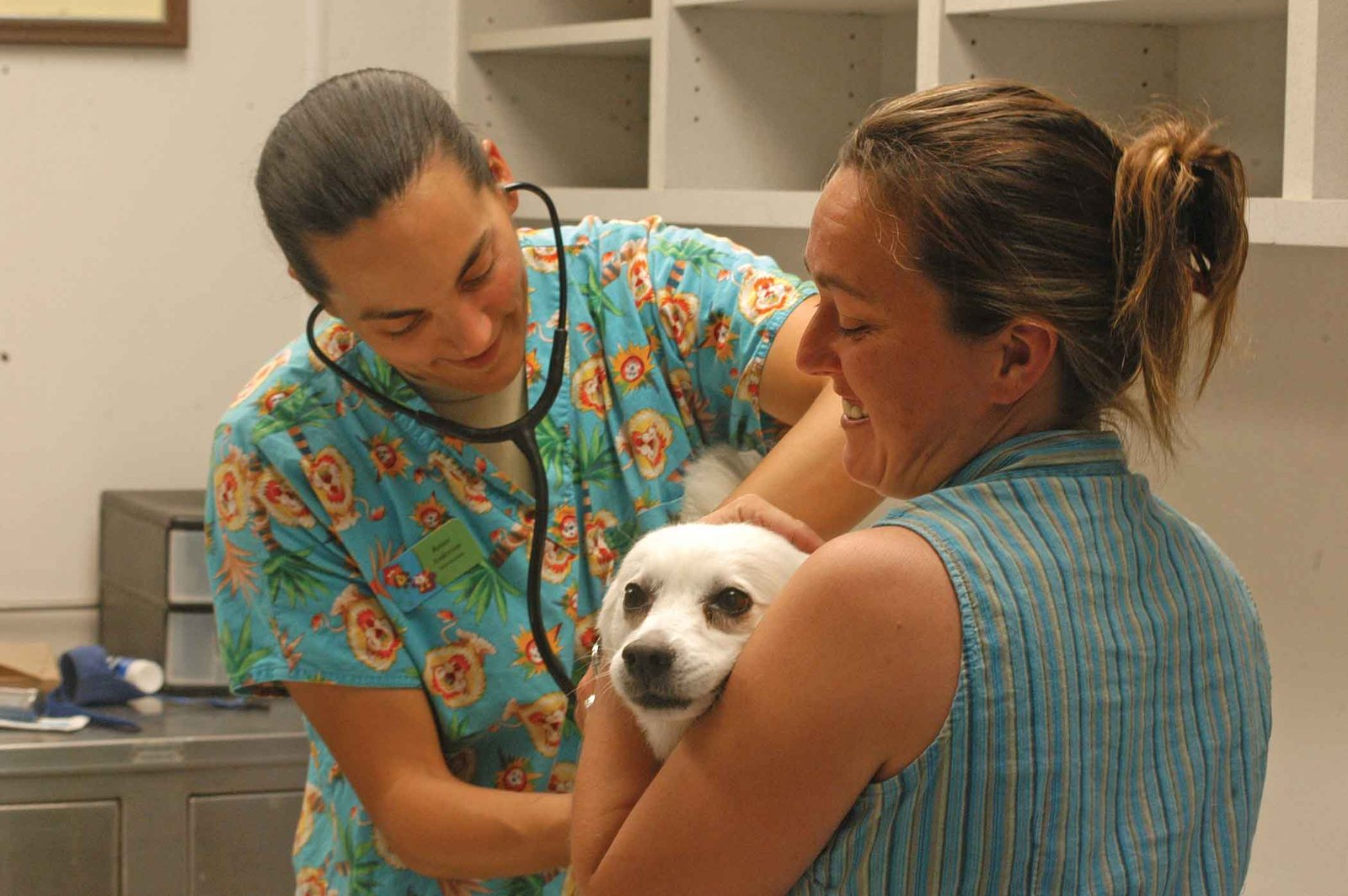 When to Call the Vet: Red Flags to Watch For (image credits: wikimedia)