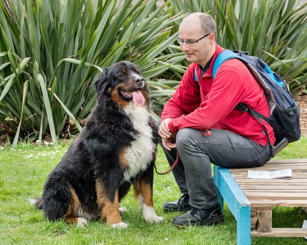 You’re the Best Adventure Buddy (image credits: flickr)