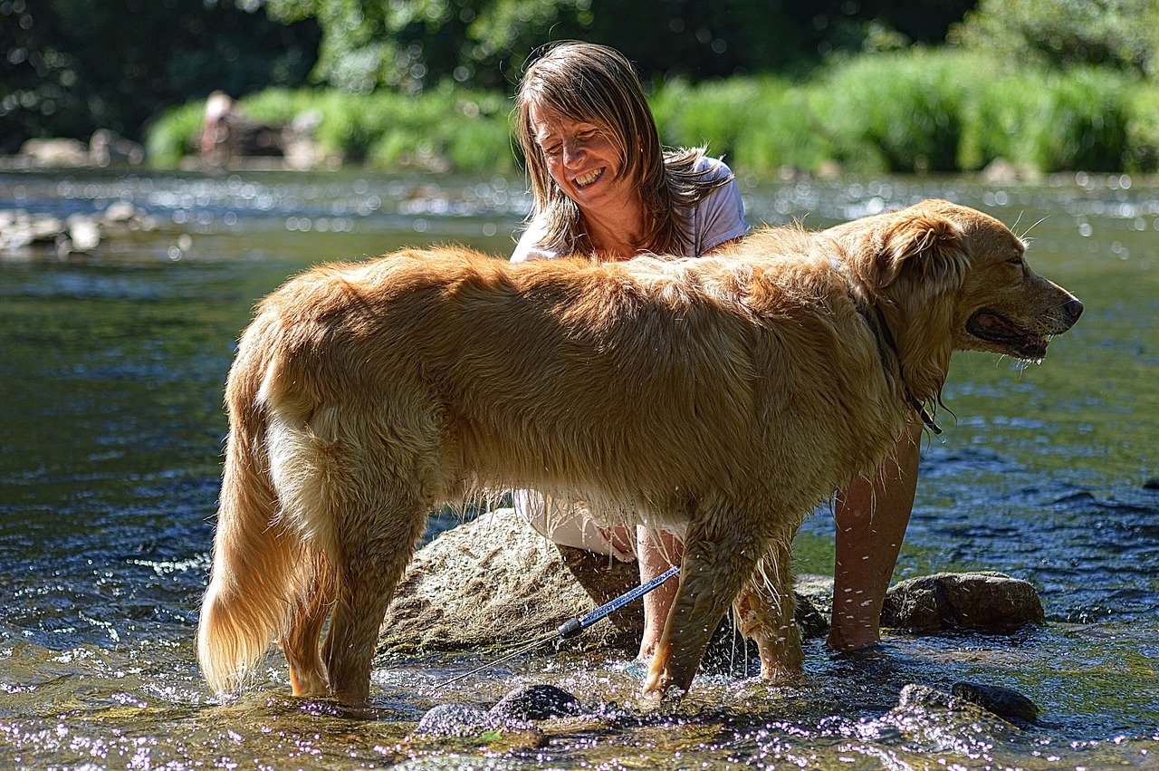 Low Maintenance Grooming for Lake Days (image credits: pixabay)