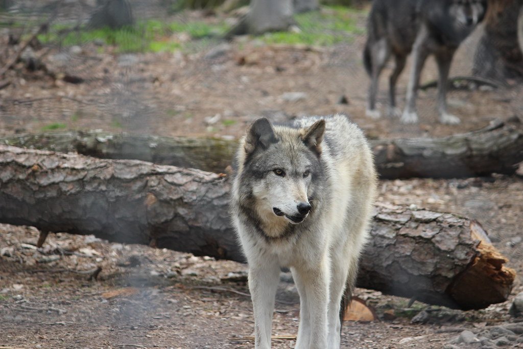 Rocky Mountain National Park, Colorado (image credits: flickr)