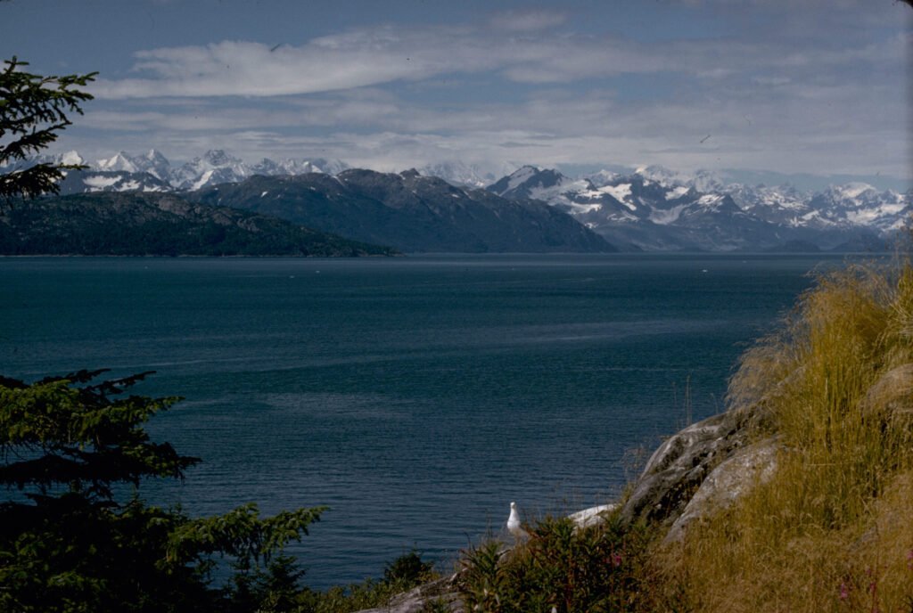 Glacier Bay National Park, Alaska