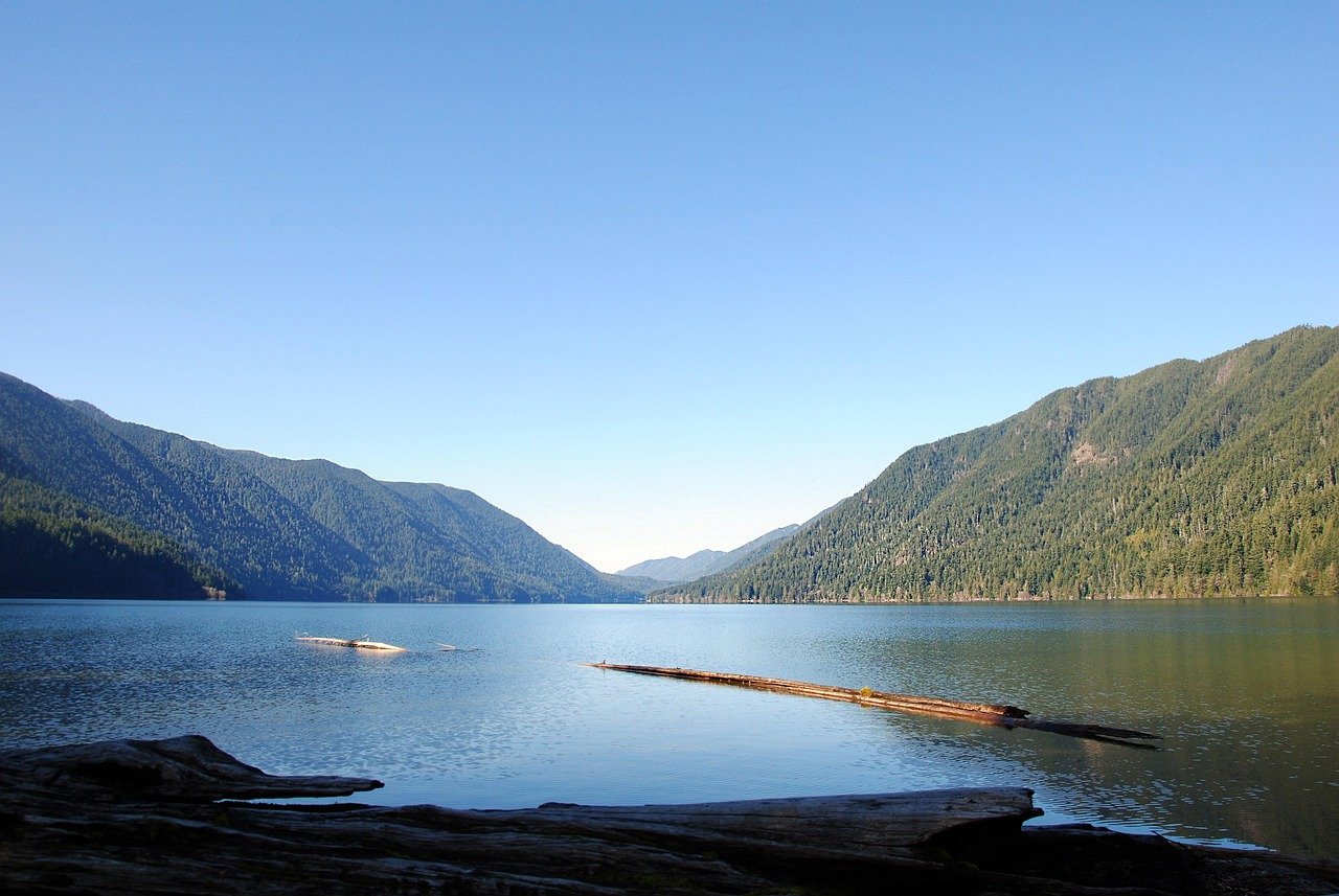 Olympic National Park, Washington (image credits: pixabay)