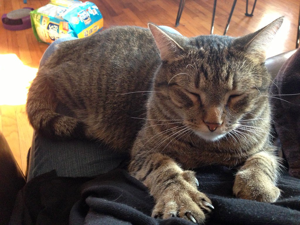 Kneading You Like Dough (image credits: flickr)