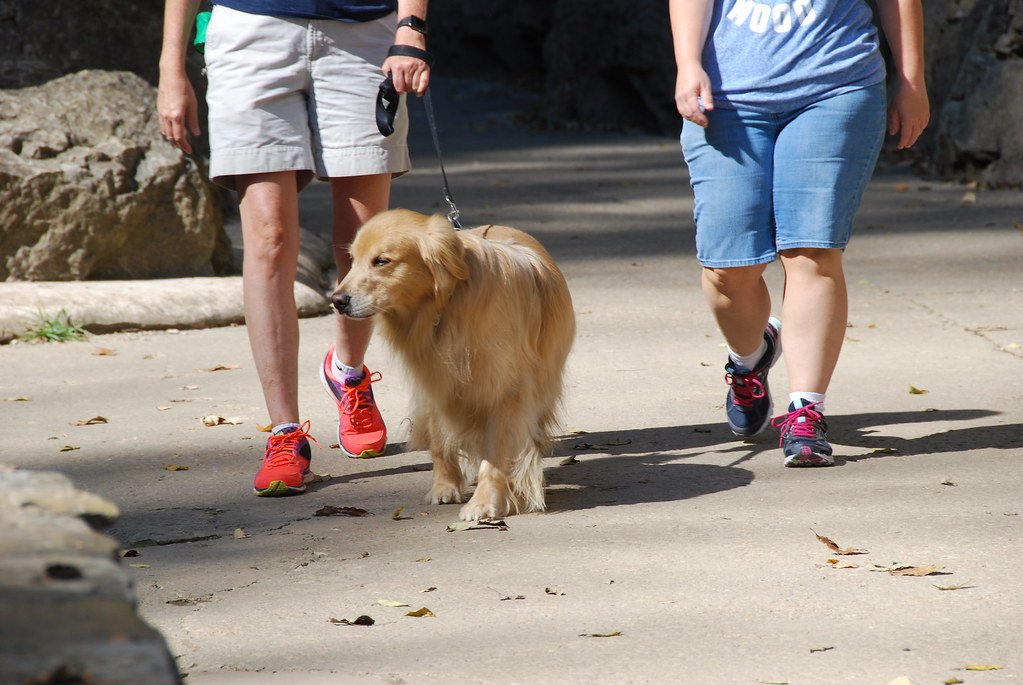 Potential Triggers and Unpredictable Situations (image credits: flickr)