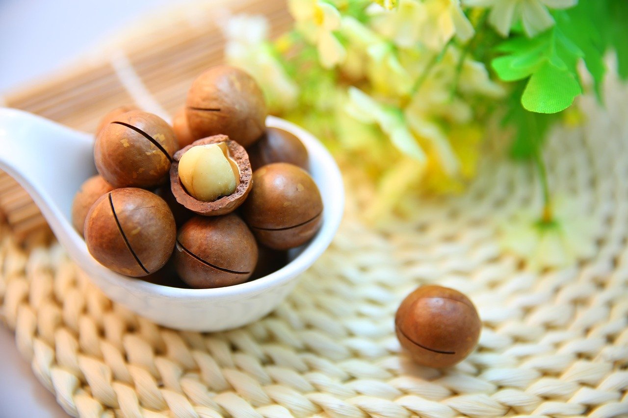Macadamia Nuts: Tiny Nuts, Major Problems (image credits: pixabay)
