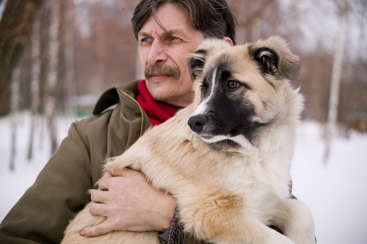 Understanding Your Dog’s Behavioral Cues—A Dad’s Superpower (image credits: pixabay)