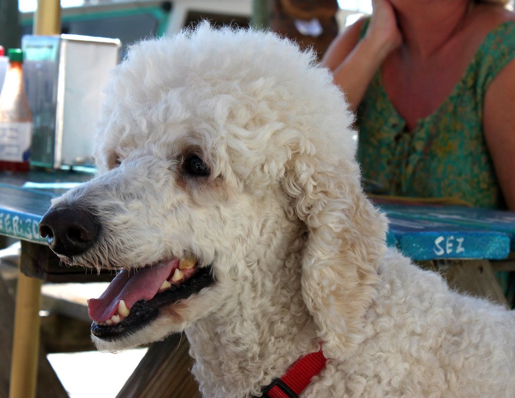 Superb Communication Skills (image credits: flickr)