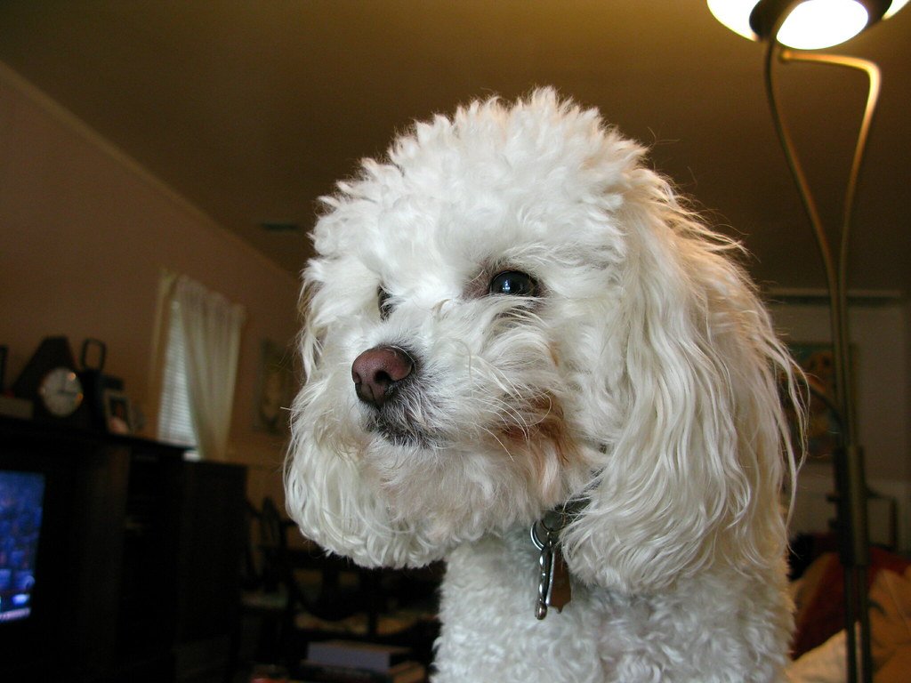 Remarkable Memory (image credits: flickr)