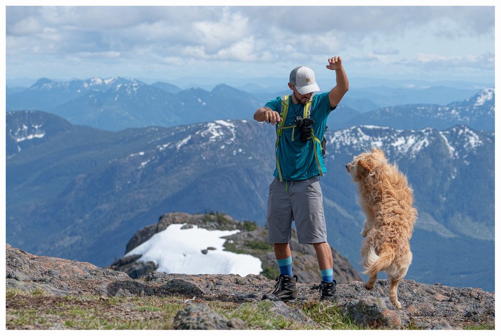Plan a Pup-Friendly Adventure (image credits: flickr)