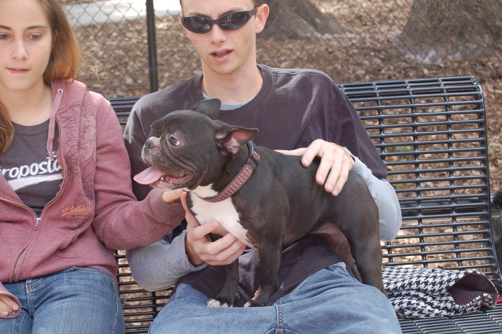 They’re Social Without Being Overwhelming (image credits: flickr)