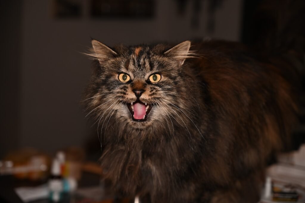 The Art of Chirping and Trilling