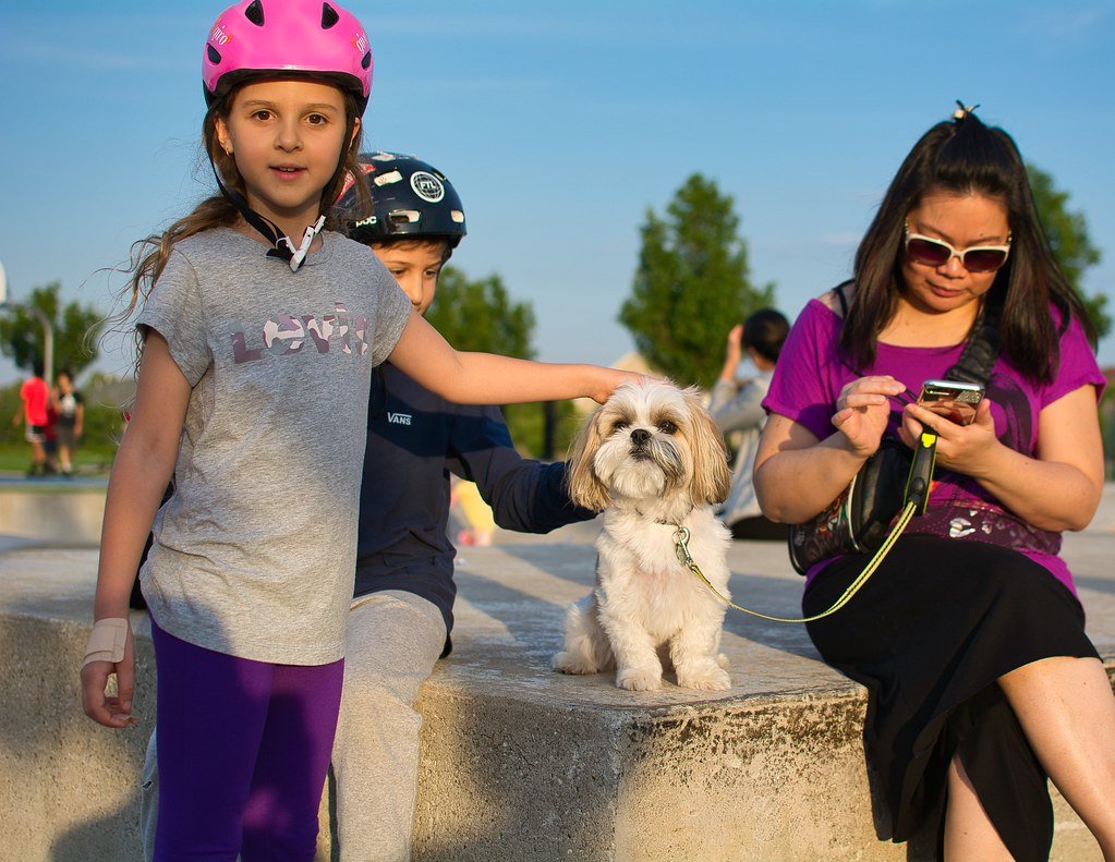 Great with Children (image credits: flickr)
