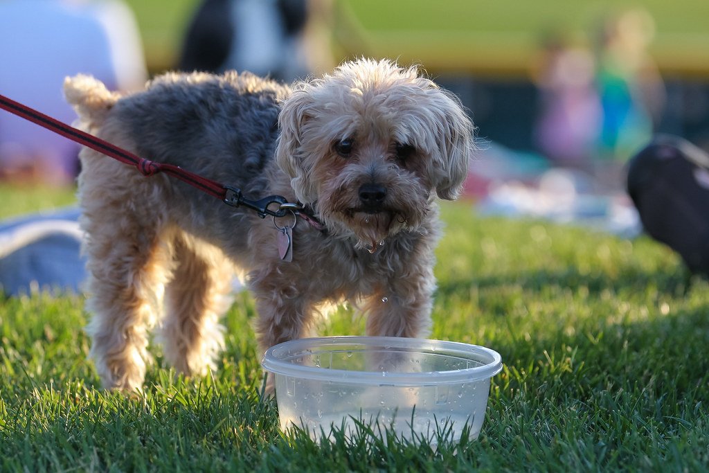 Creating Water-Friendly Habits (image credits: flickr)