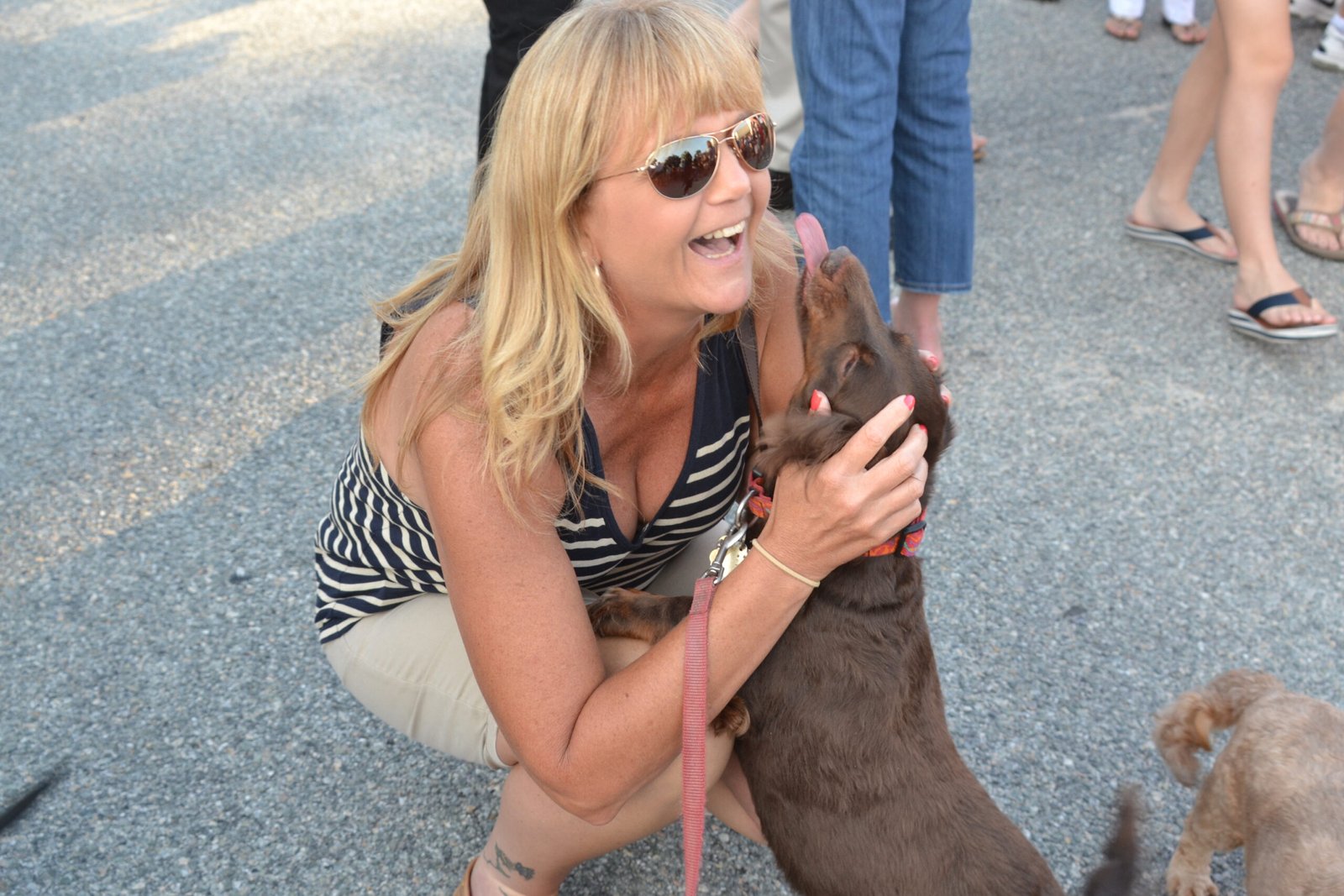 Licking You: Kisses, Canine Style (image credits: wikimedia)