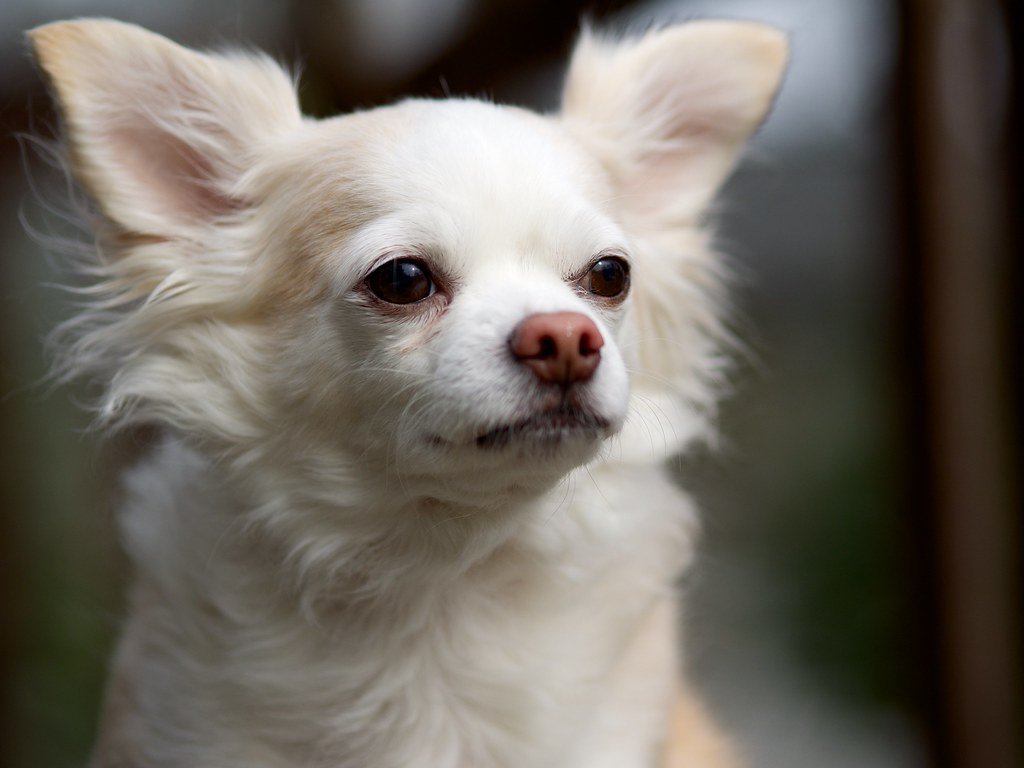 Health Considerations: What We Didn’t Notice as Kids (image credits: flickr)