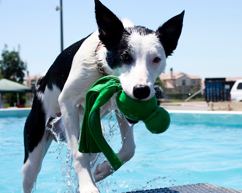 10. Easing the Burden of Long Workdays (image credits: flickr)
