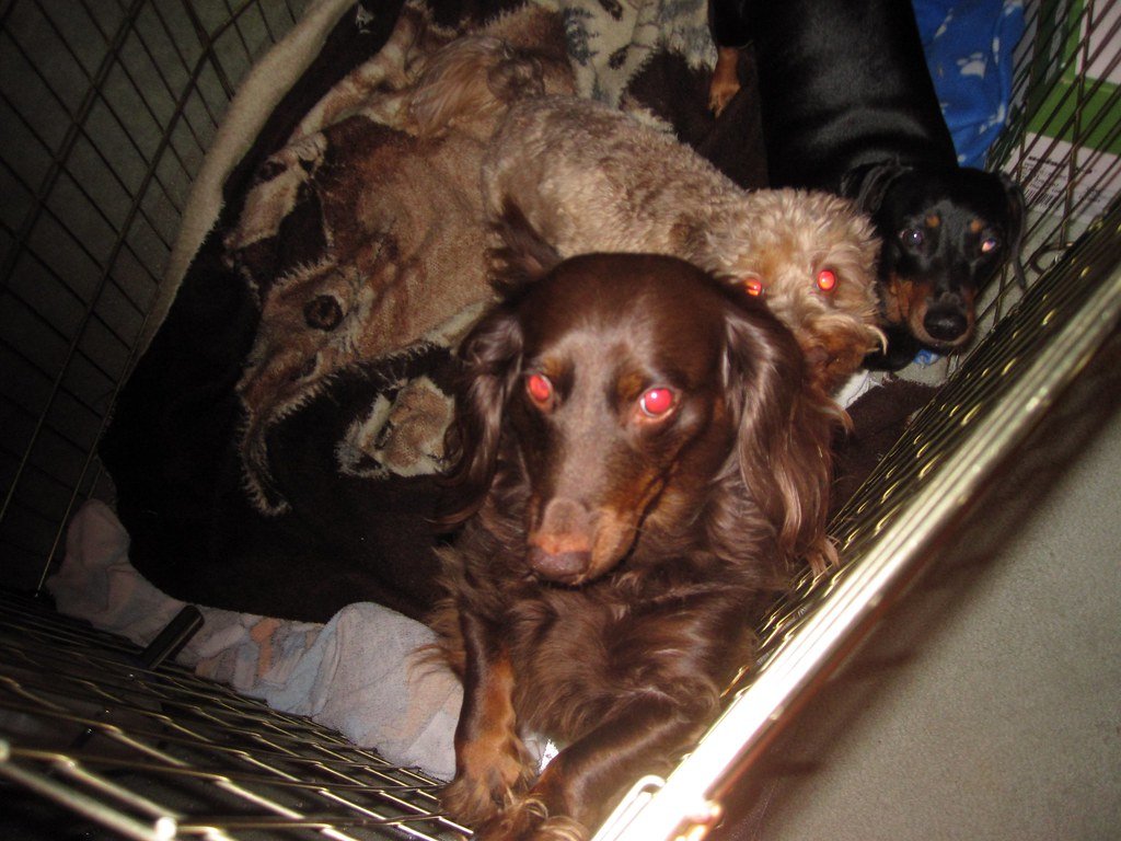 Pair the Crate With Positive Experiences (image credits: flickr)