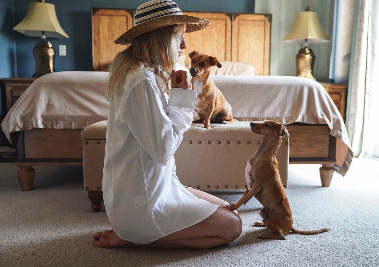 Living Arrangements: Home Life Matters (image credits: pixabay)