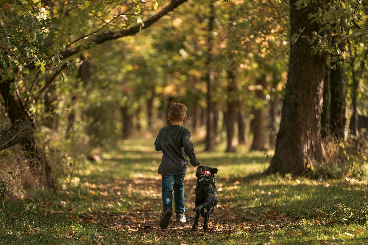 Not All Dogs Are Good With Children (image credits: pixabay)