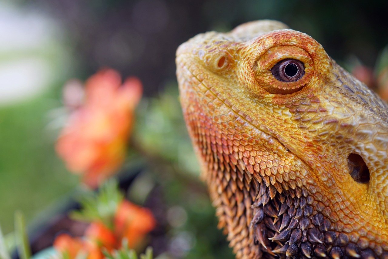 Routine and Consistency: The Secret Sauce (image credits: pixabay)