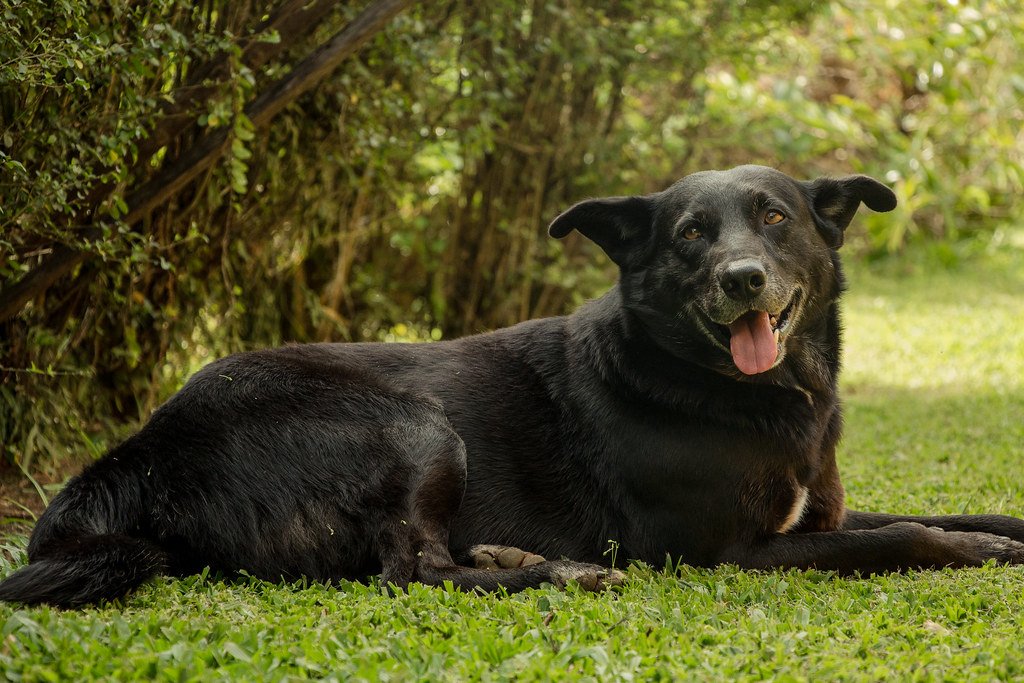 Personality Shines Through: Myths vs. Reality (image credits: flickr)