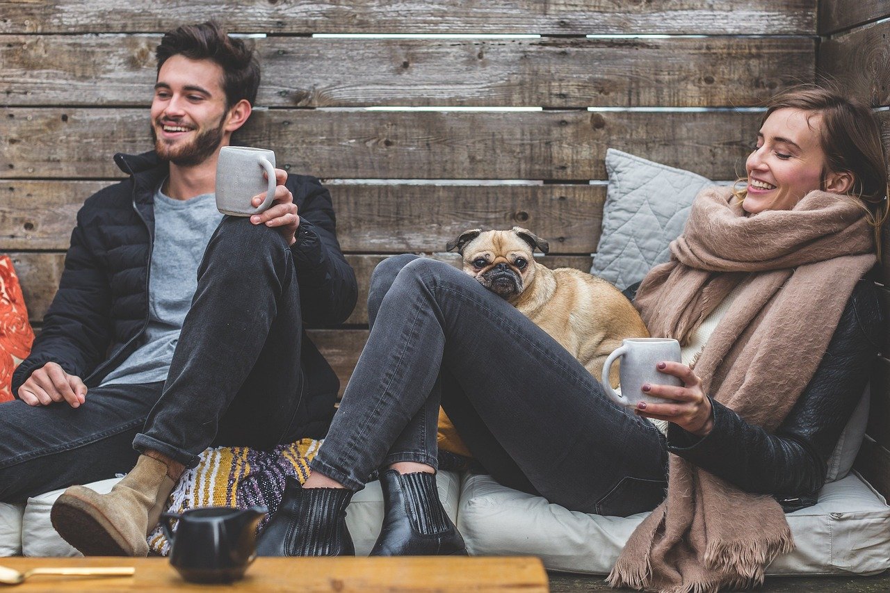 Pug: The Chill Comedian (image credits: pixabay)