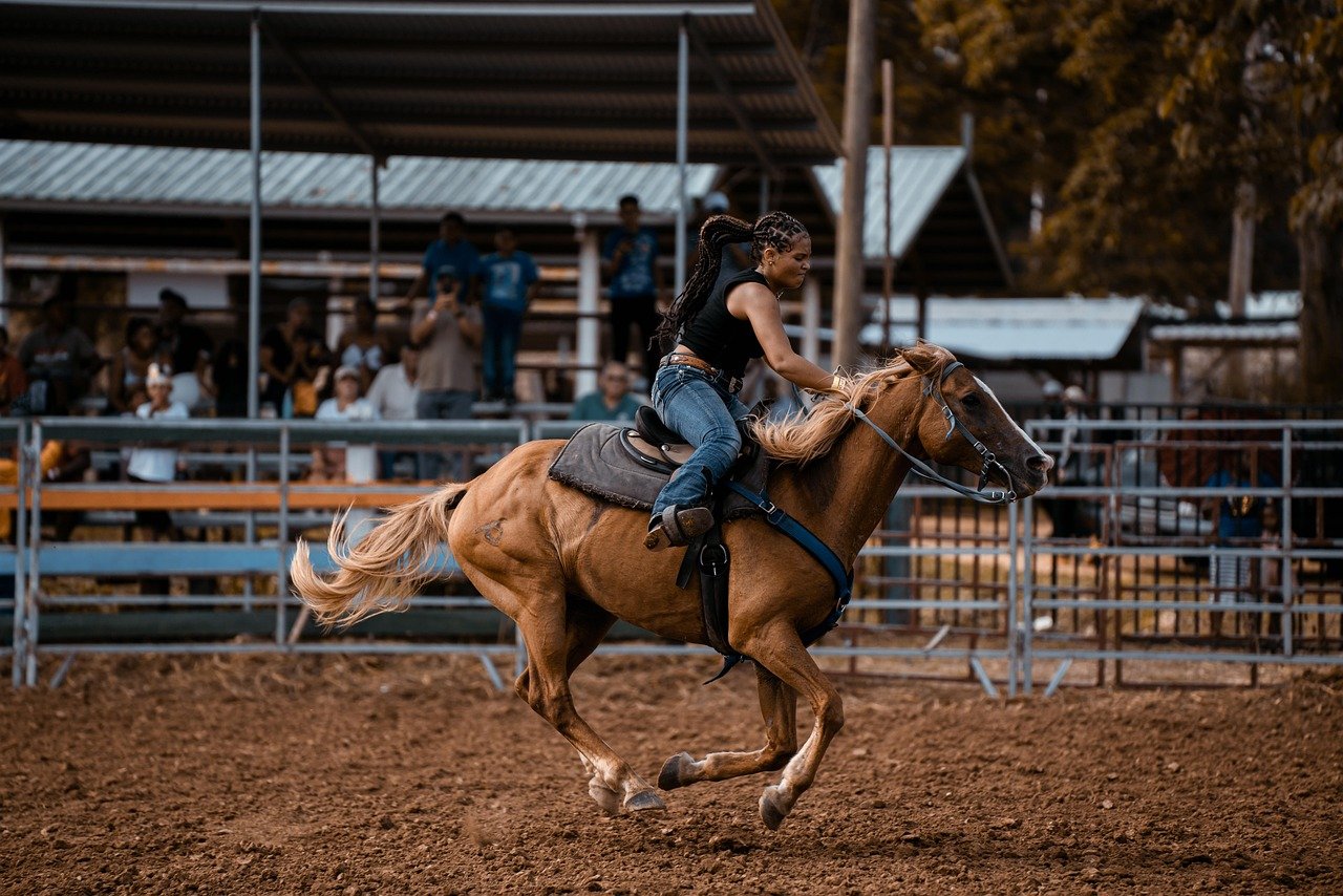 Quarter Horse: The Trusty Partner (image credits: pixabay)