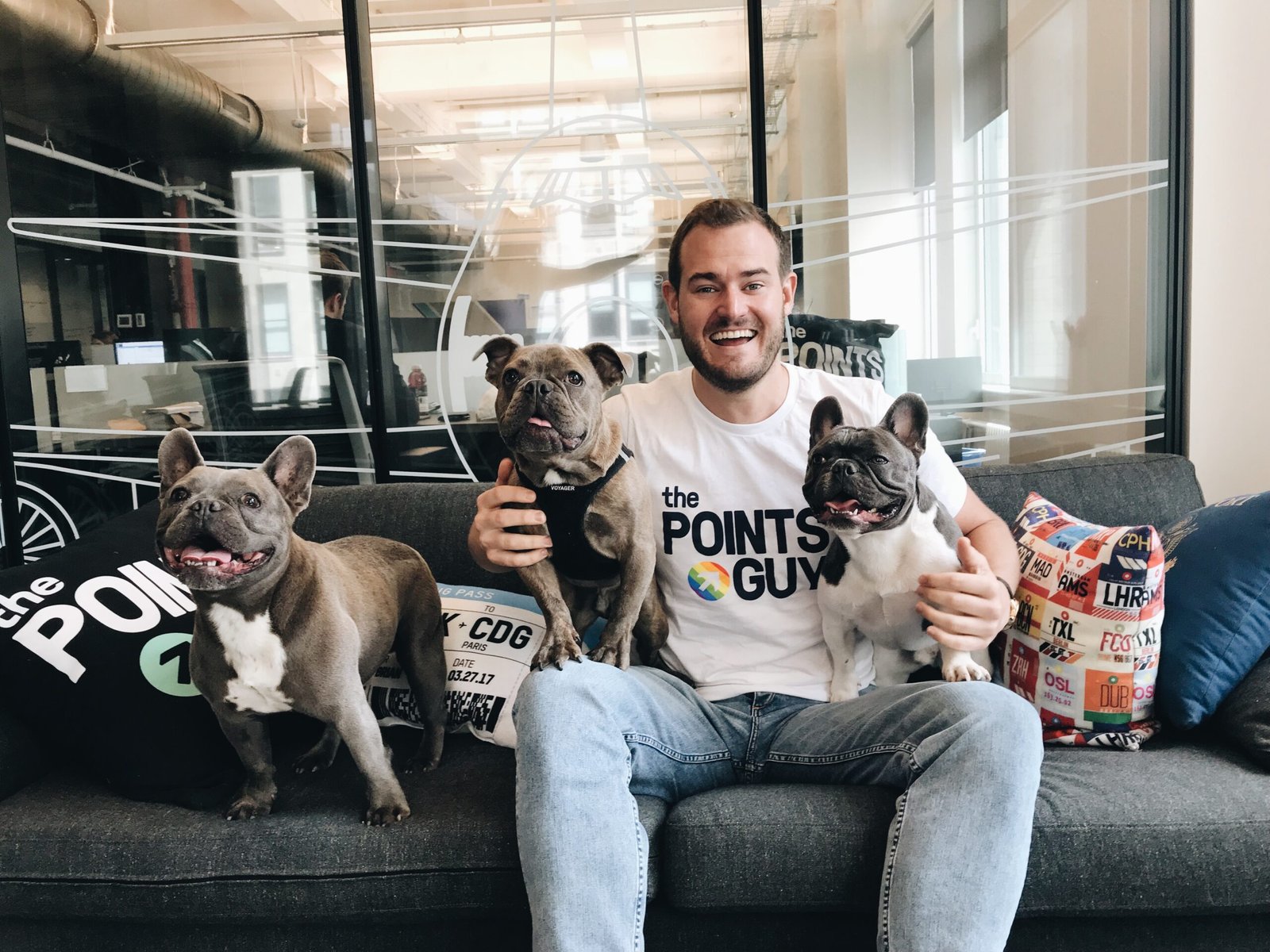 A Frenchie or A Labrador Retriever? Which Sweet Dog Breed Should You Choose