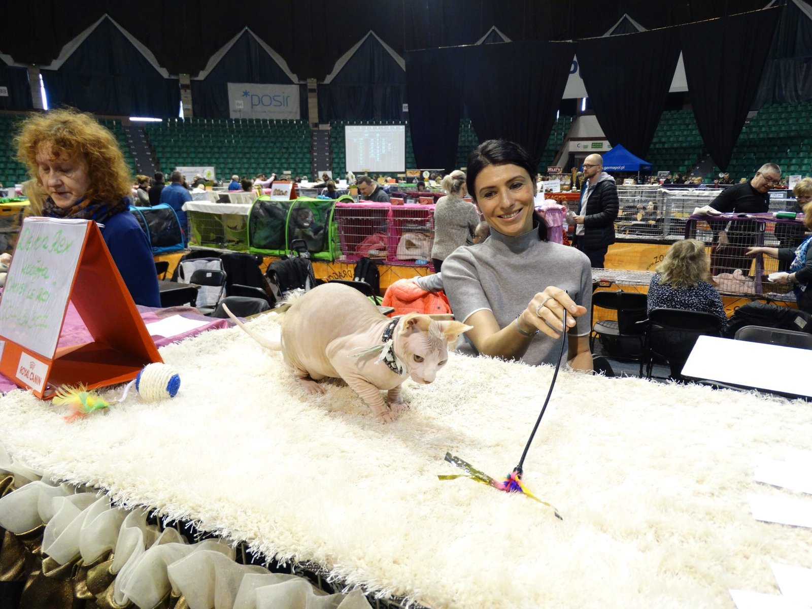 Fun Ways to Entertain and Connect (image credits: wikimedia)
