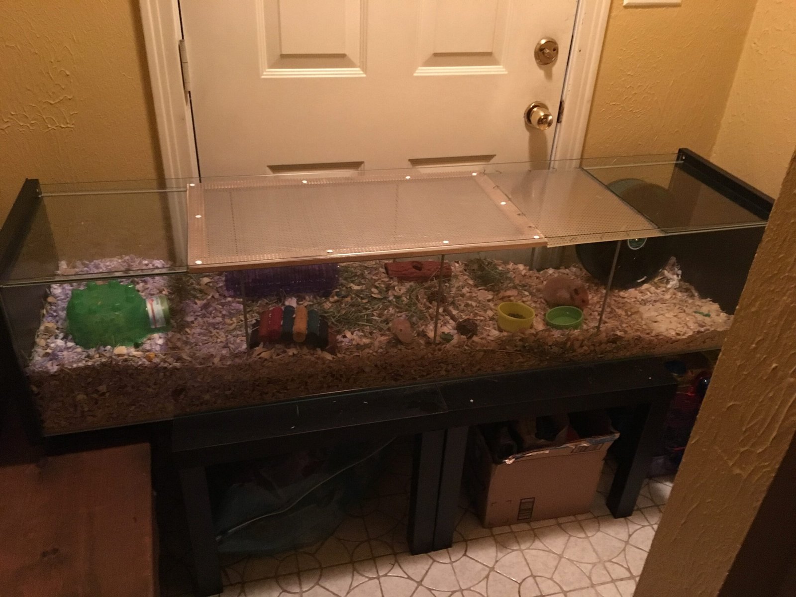 Cleanliness Is More Than Just Spot-Cleaning (image credits: wikimedia)