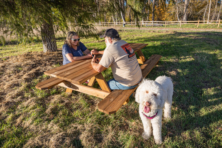How to Teach Your Dog To Obey Invisible Backyard Boundaries