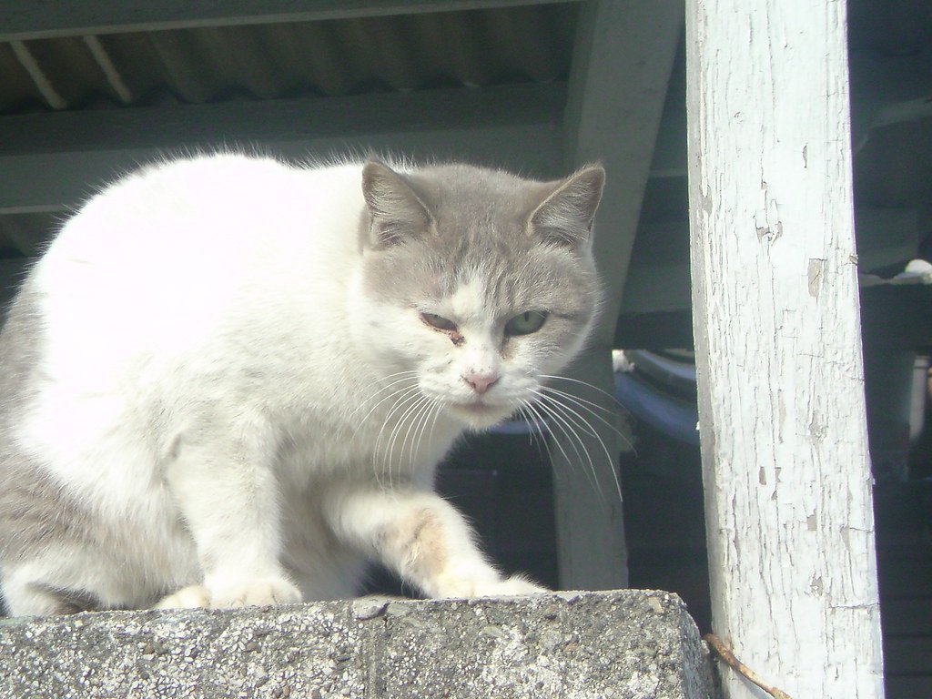 Body Language: What Accompanies the Stare? (image credits: flickr)