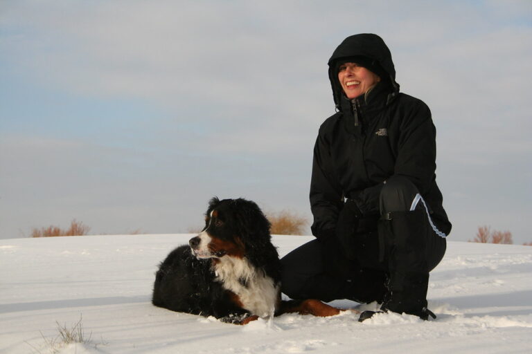 13 Ways Bernese Mountain Dogs Are the Perfect Snow Companions in Utah’s Ski Towns