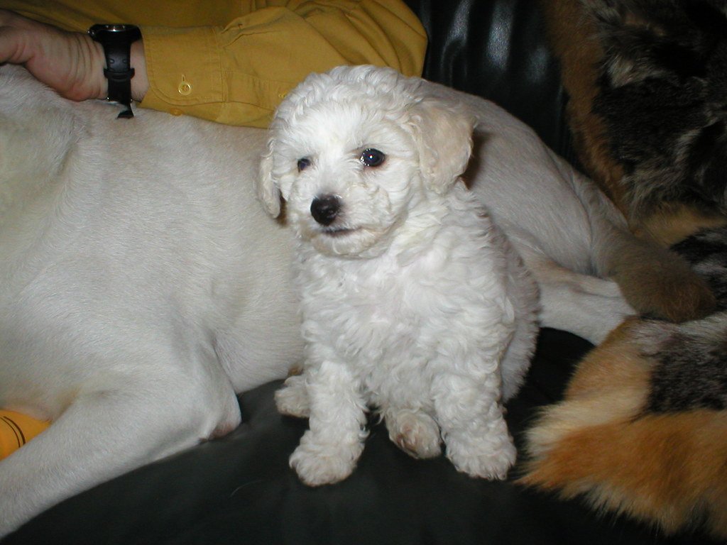 Training and Intelligence (image credits: flickr)